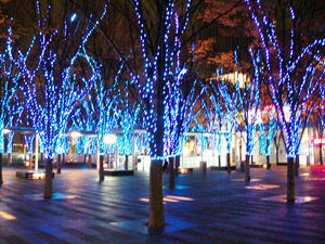 イルミネーション